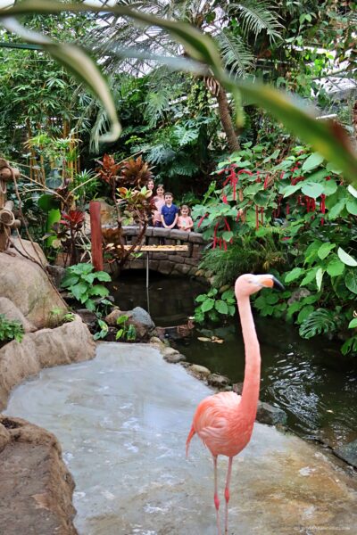 Victoria Butterfly Gardens
