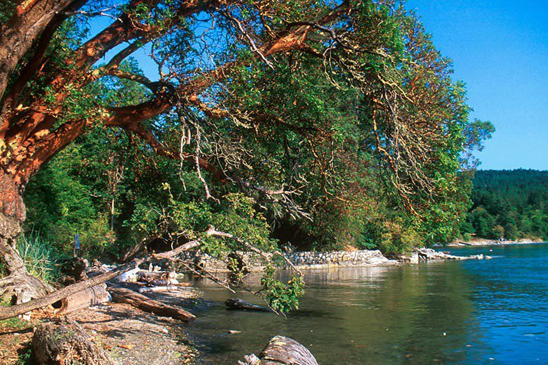 North Saanich surrounding area