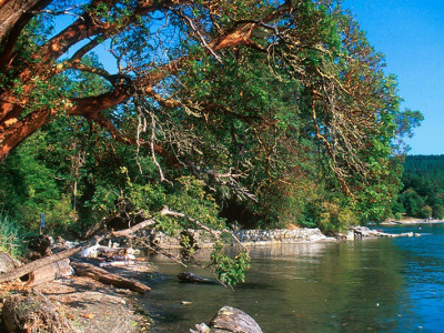 North Saanich